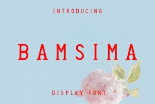 Bamsima Font Download