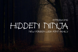 Hidden Ninja Font Download