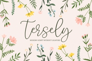 Tersely Font Download