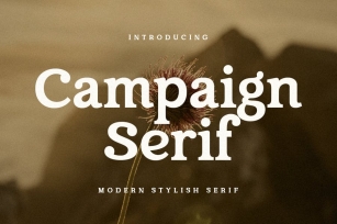 Campaign Serif - Modern Stylish Font Font Download