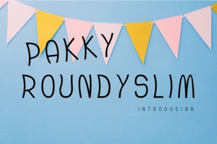 Pakky Roundyslim Font Download