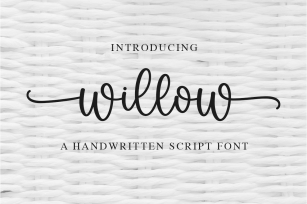 Willow Font Download