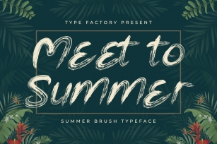 Meet to Summer Font Download