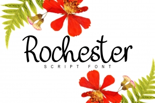 Rochester Font Download