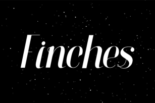 Finches Font Download