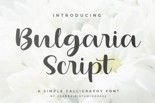 Bulgaria Scrip Font Download