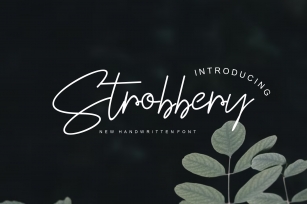Strobbery Font Download