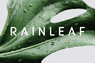 Rainleaf Font Download
