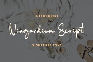 Wingardium Script Font Download