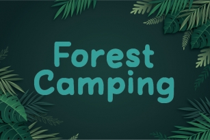 Forest Camping Font Download