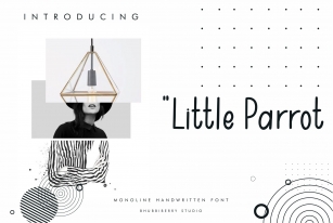 Little Parrot Font Download