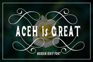 Aceh Is Great Serif Font Download
