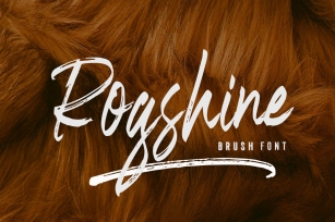 Rogshine Brush Font Download