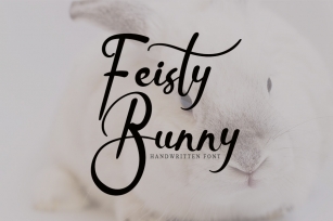 Feisty Bunny Font Download