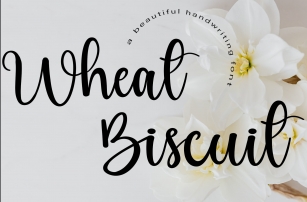 Wheat Biscuit Font Download
