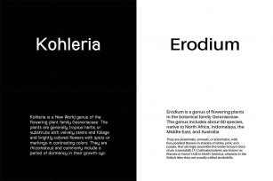 Kohleria  Erodium Duo Font Download