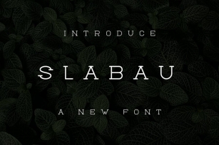 Slabau Font Font Download