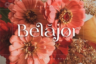 Belajor - Sans Serif Font Font Download