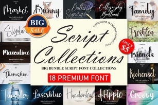 The Script Premium Collection Bundle Font Download