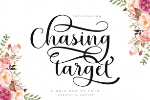Chasing target Font Download