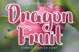 Dragon Fruit Font Download