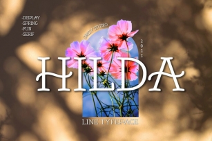 Hilda Font Download