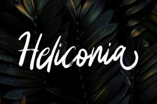 Heliconia Scrip Font Download