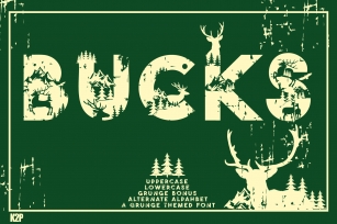 Bucks Font Download