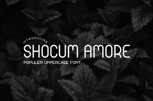 Shocum Amore Font Download
