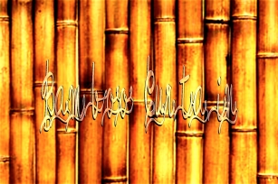 Bamboo Curtain Font Download