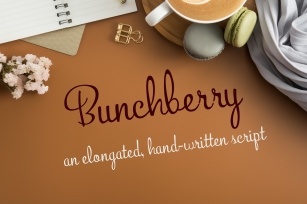 PN Bunchberry Font Download