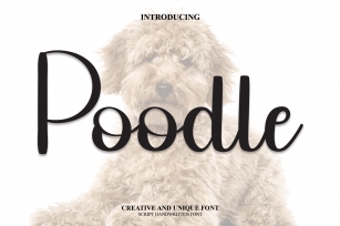 Poodle Font Download