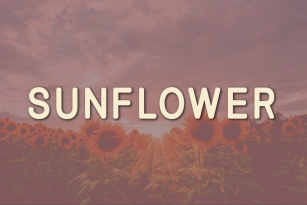 Sunflower Font Download