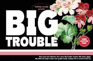 Big Trouble Font Download