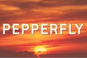 Pepperfly Font Download