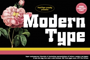 Modern Type Font Download