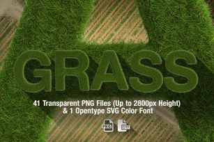 Ms Grass Bitmap  PNGs Font Download