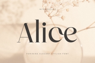Alice - Feminine Elegant Stylish Font Font Download