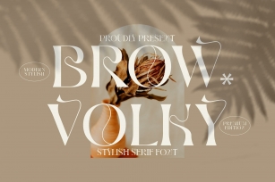 BROWN VOLKY Font Download