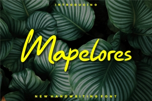 Mapelores Font Font Download