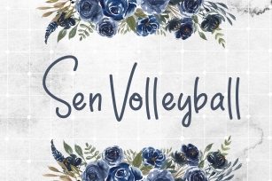 Sen Volleyball Font Download