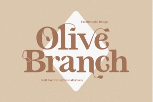 Olive Branch Serif Font Font Download