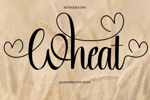 Wheat Font Download
