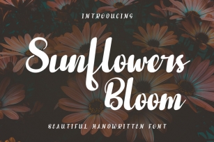 Sunflowers Bloom Font Download