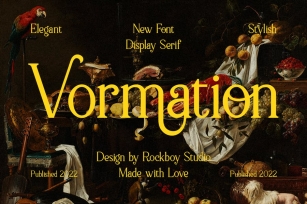 Vormation - Display Serif Font Font Download