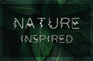 Nature Inspired Font Download