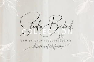 Studio Baked Font Collection Font Download