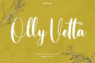 Olly Vetta Script Font Font Download