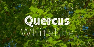 Quercus Whiteline Font Download