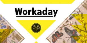 Workaday Font Download